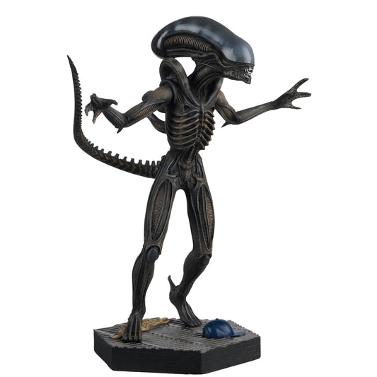 Alien Xenomorph Drone